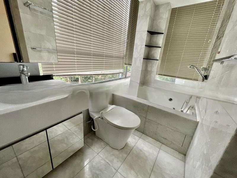 ANGULLIA PARK RESIDENCES @ ORCHARD 4