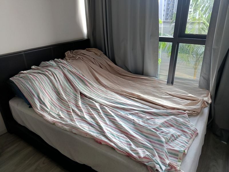 THE WOODLEIGH RESIDENCES 4