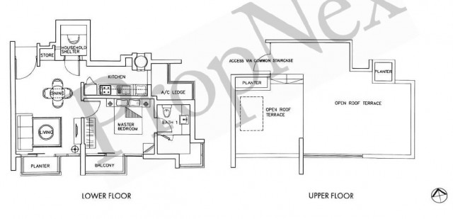 POSHGROVE EAST 36