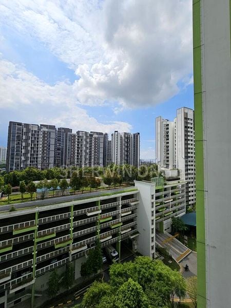 FERNVALE LINK 6