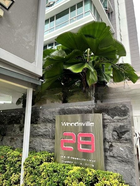 WOODSVILLE 28 8