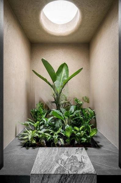 OASIS GARDEN 15