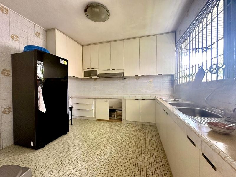 PRINCESS OF WALES PARK 7