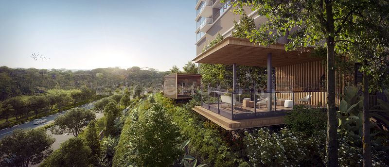 NAVA GROVE 10
