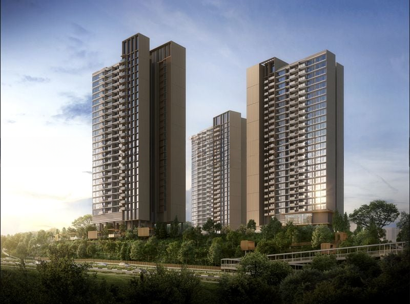 NAVA GROVE 8