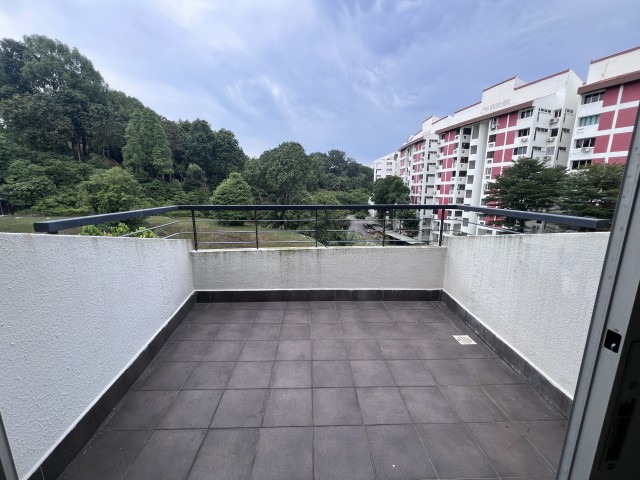 CLEMENTI PARK 12