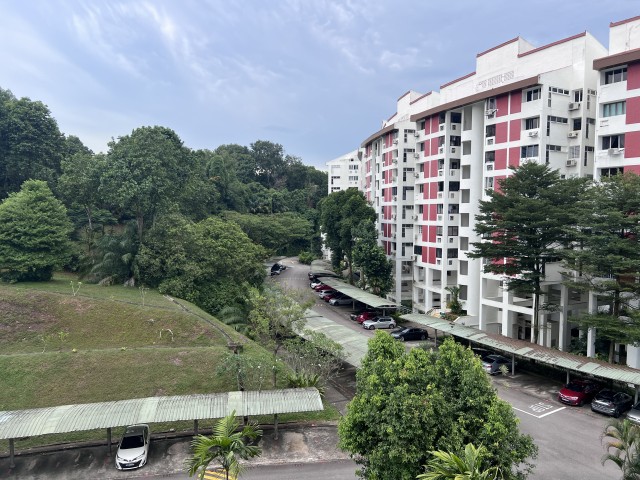 CLEMENTI PARK 6