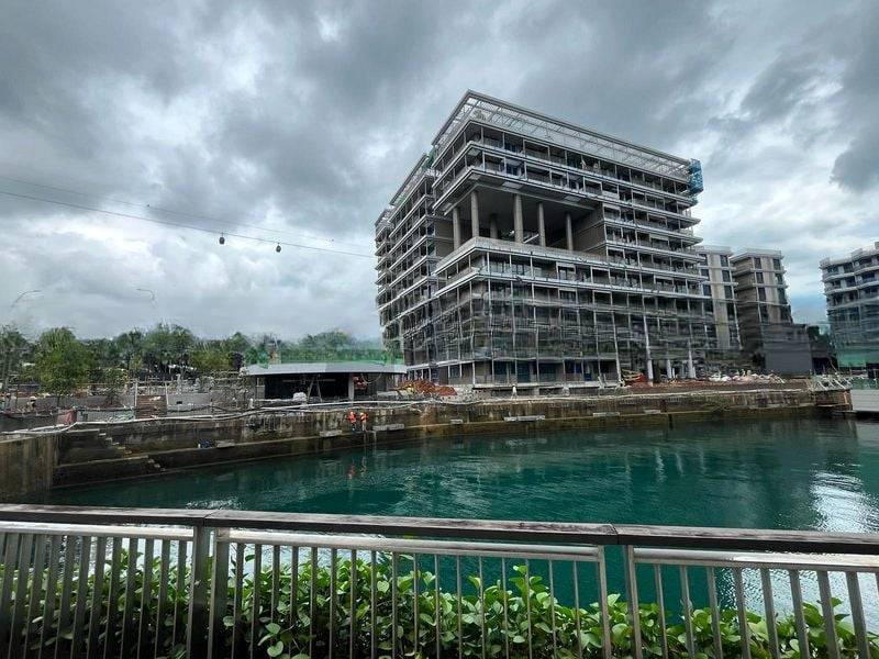 CORALS AT KEPPEL BAY 8