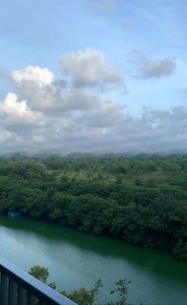 KINGSFORD WATERBAY 4