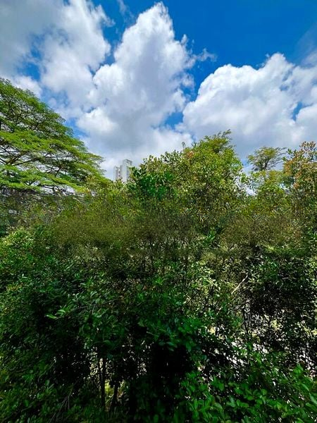 PHOENIX RESIDENCES 8