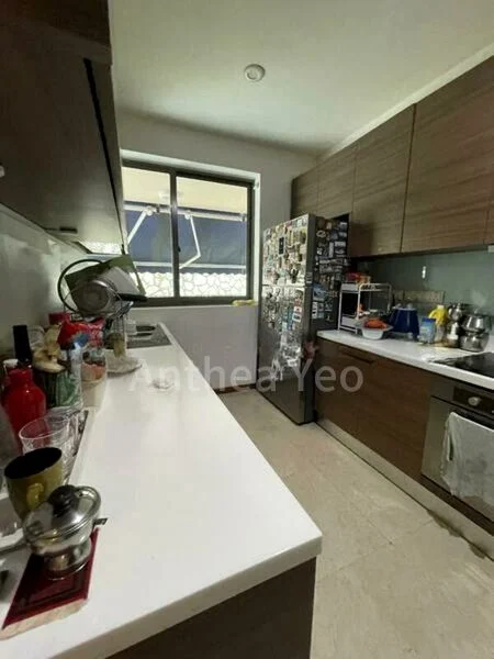 THE THOMSON DUPLEX 3