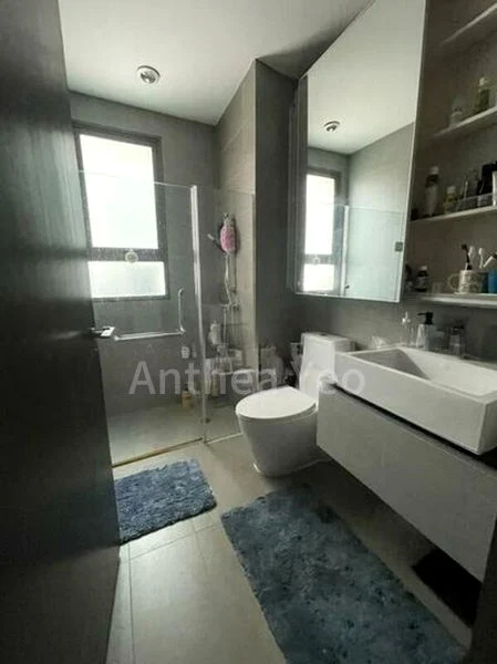 THE THOMSON DUPLEX 5