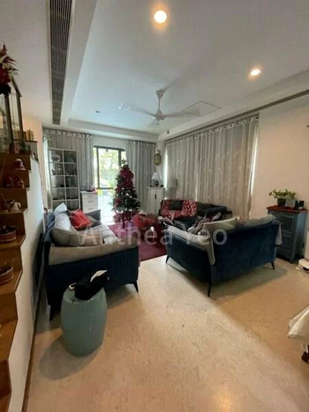 THE THOMSON DUPLEX 6