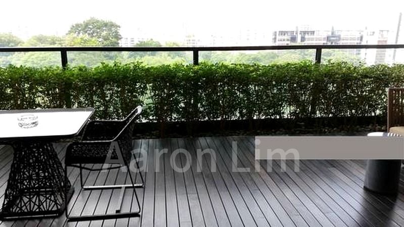 REIGNWOOD HAMILTON SCOTTS 12