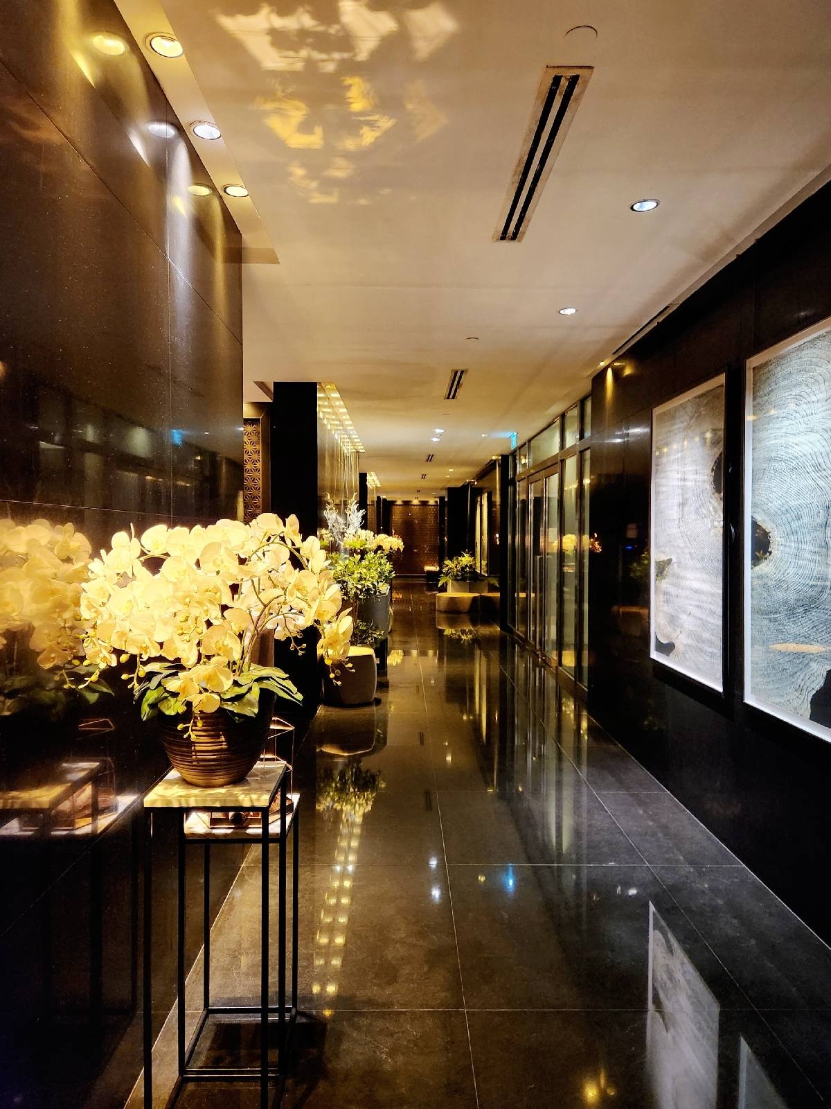 TOMLINSON HEIGHTS 21