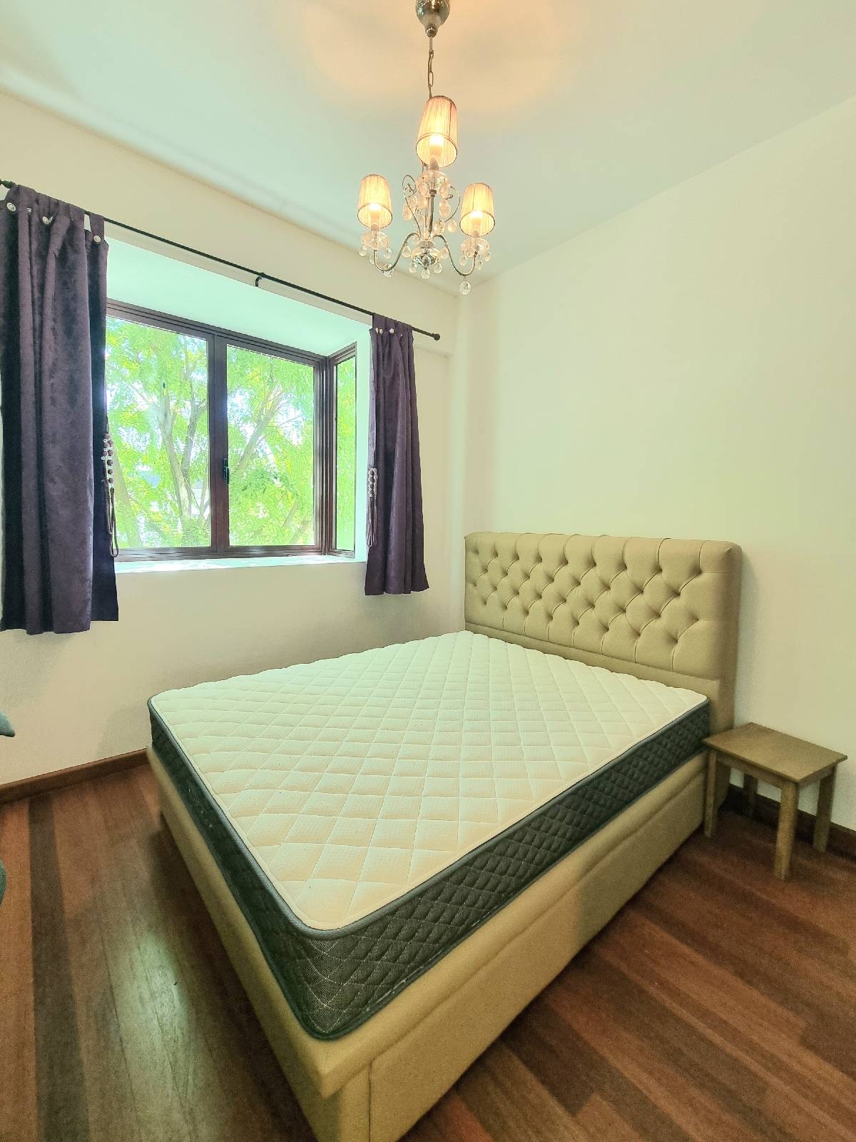 D'ECOSIA 4