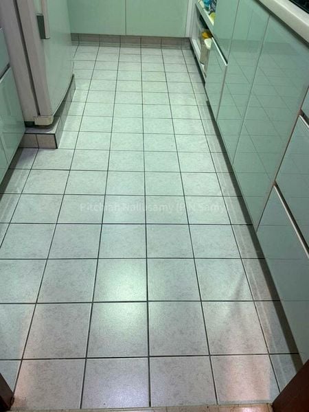 HAZEL PARK CONDOMINIUM 13