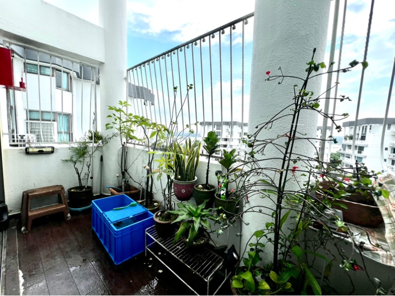 ORCHID PARK CONDOMINIUM 24