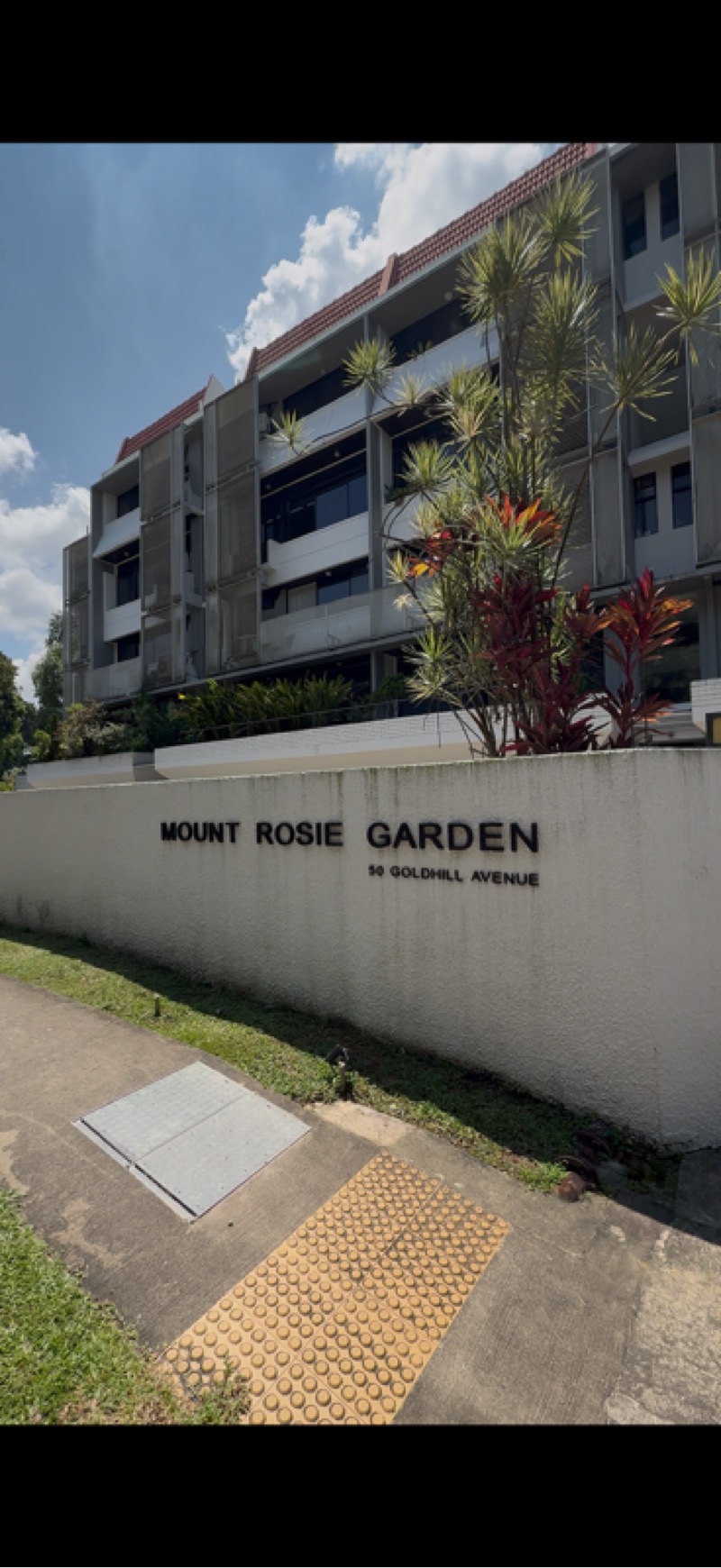MOUNT ROSIE GARDEN 12