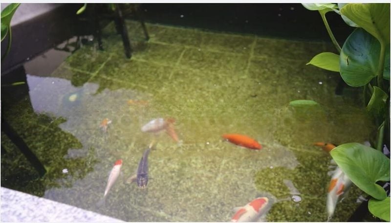 GOLDEN RISE ESTATE 14