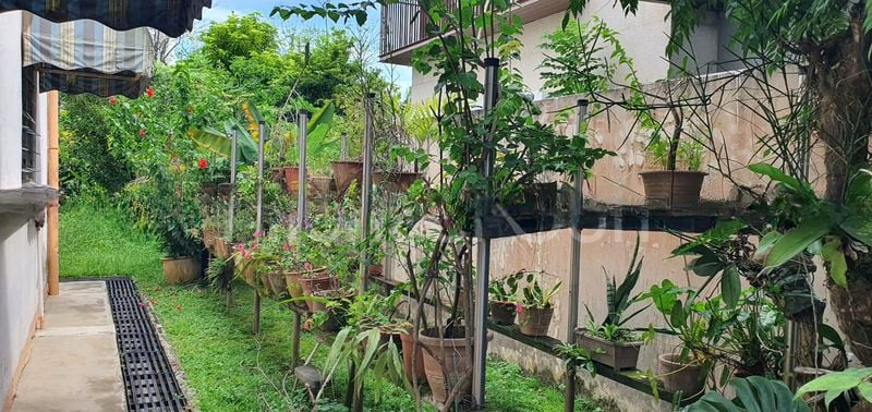 SPRING PARK ESTATE 3