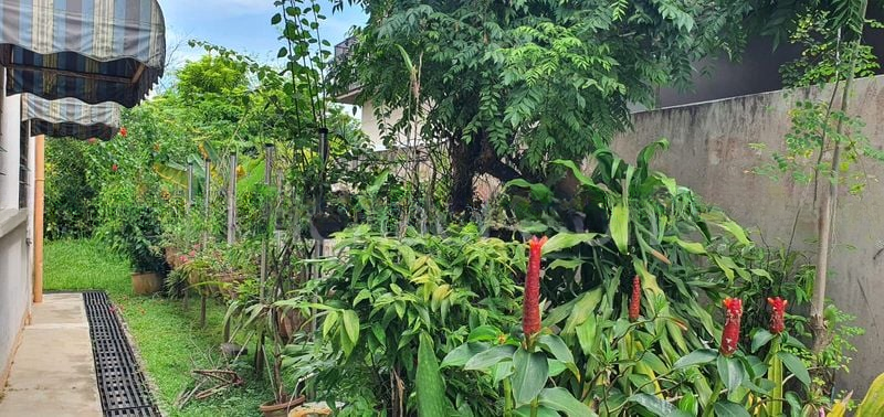 SPRING PARK ESTATE 12