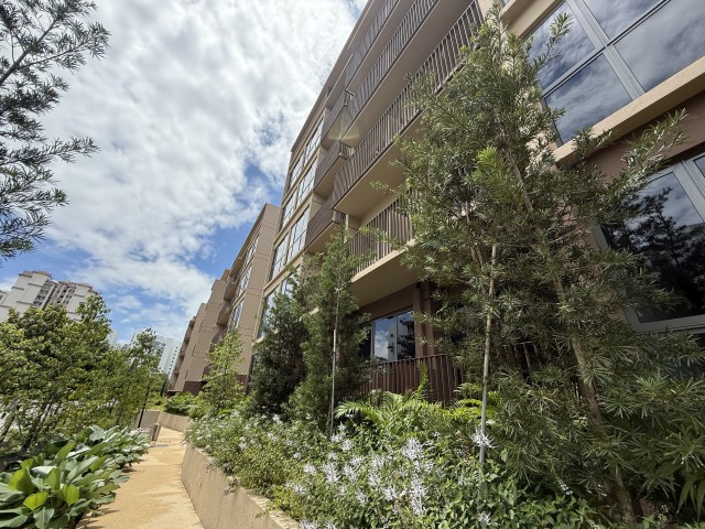 THE WATERGARDENS AT CANBERRA 41