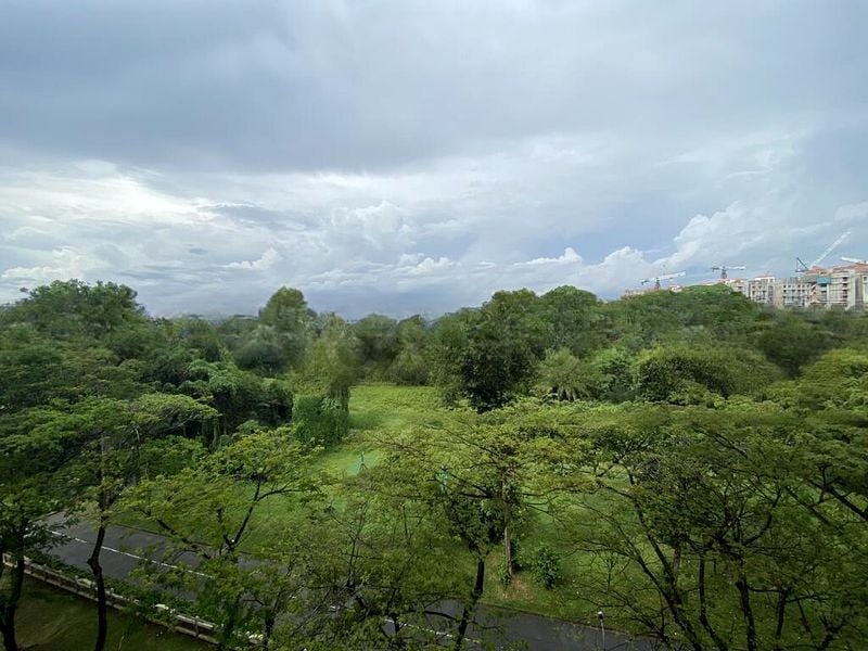 AVON PARK 14