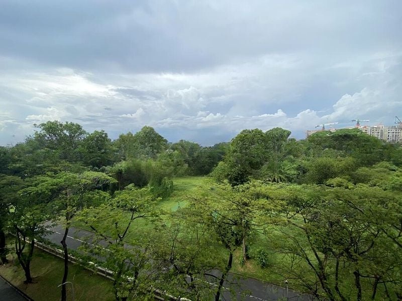 AVON PARK 1