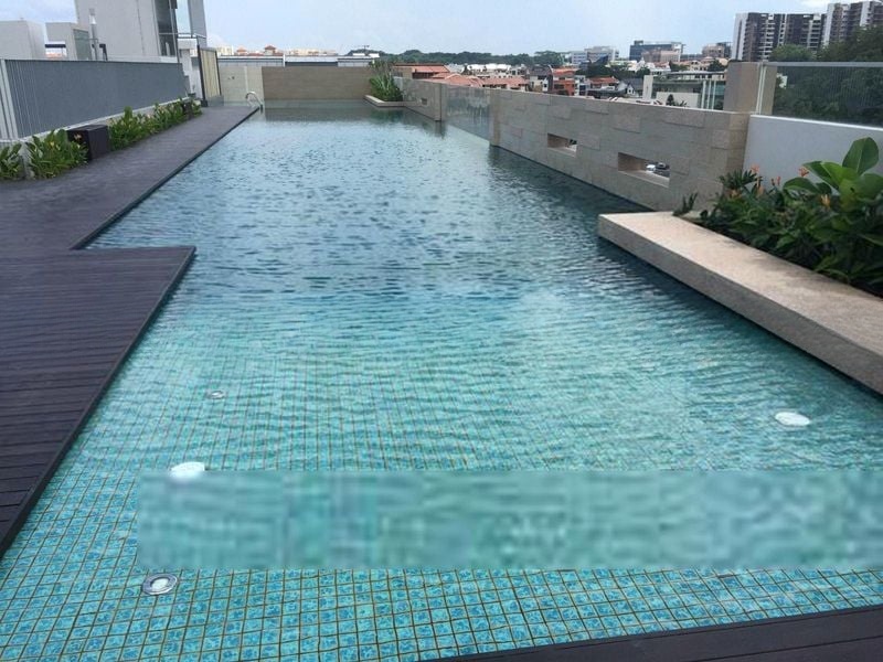 GAMBIR RIDGE 9