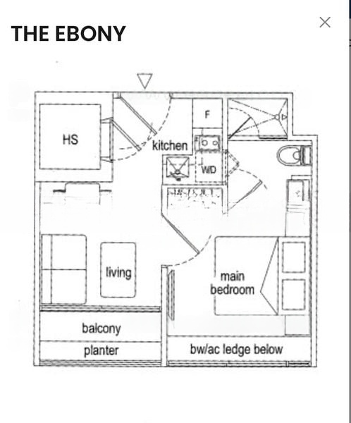 THE EBONY 6
