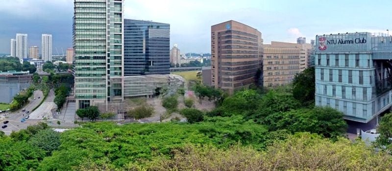 BLOSSOMS BY THE PARK 4