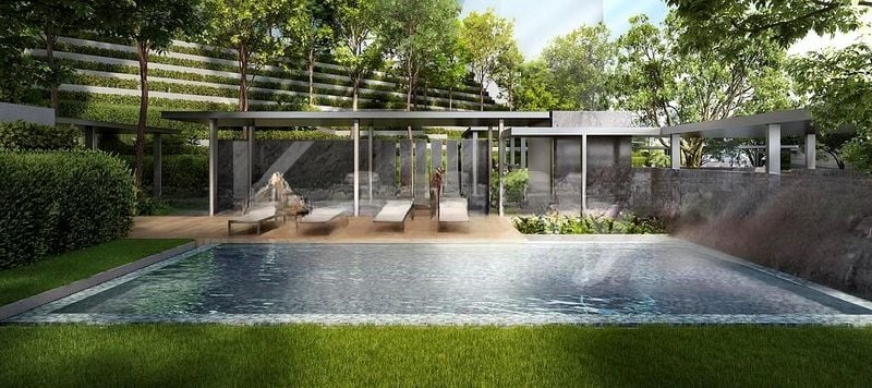 BLOSSOMS BY THE PARK