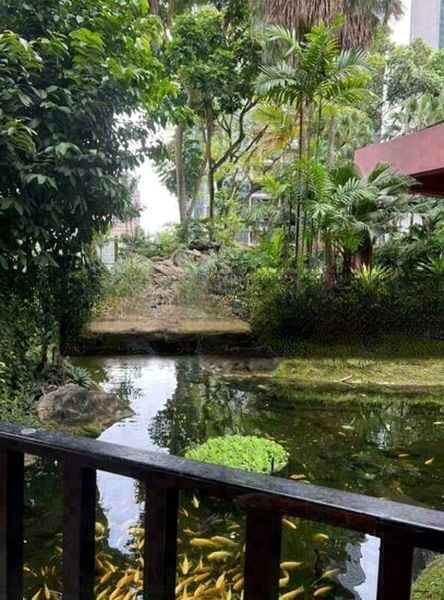 LEONIE GARDENS 2