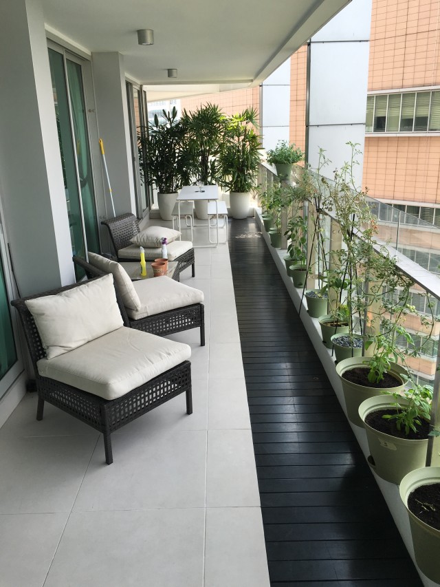 THE ROCHESTER RESIDENCES 5