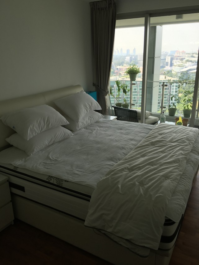 THE ROCHESTER RESIDENCES 8