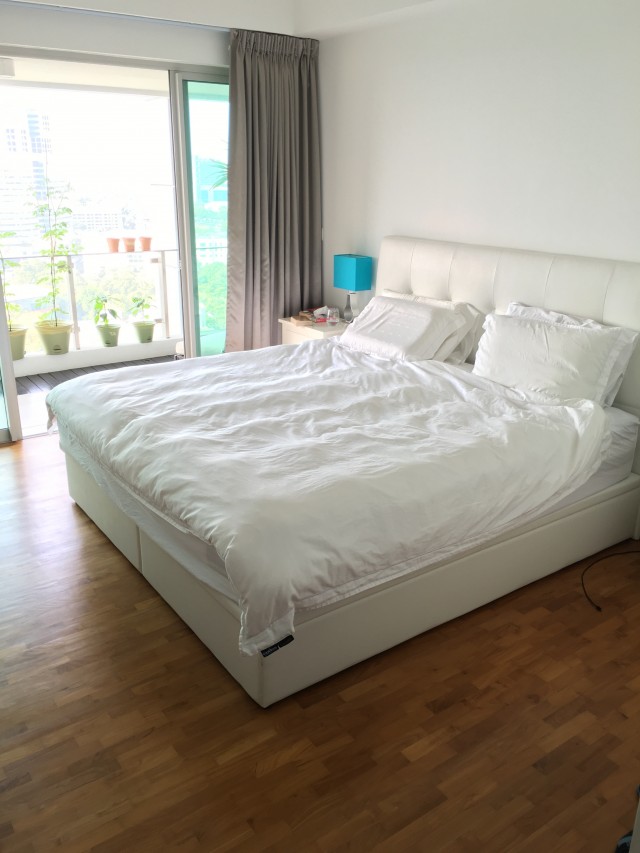 THE ROCHESTER RESIDENCES 10