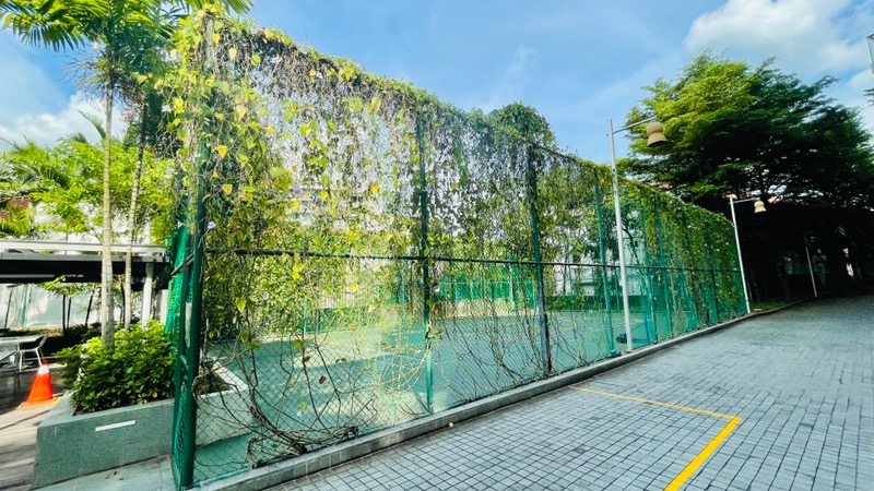 BELLE VUE RESIDENCES 14