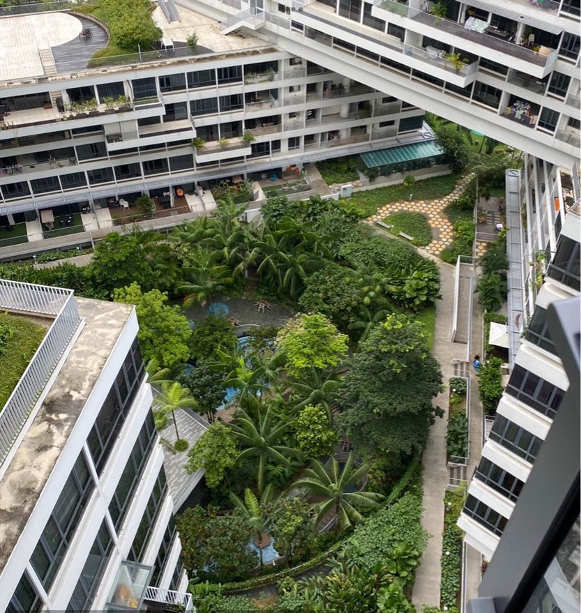 THE INTERLACE 7