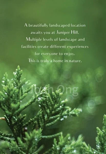 JUNIPER HILL 2