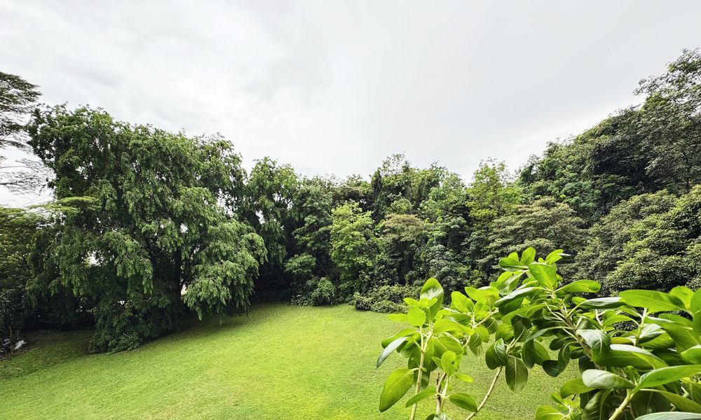 LAKEVIEW ESTATE 10