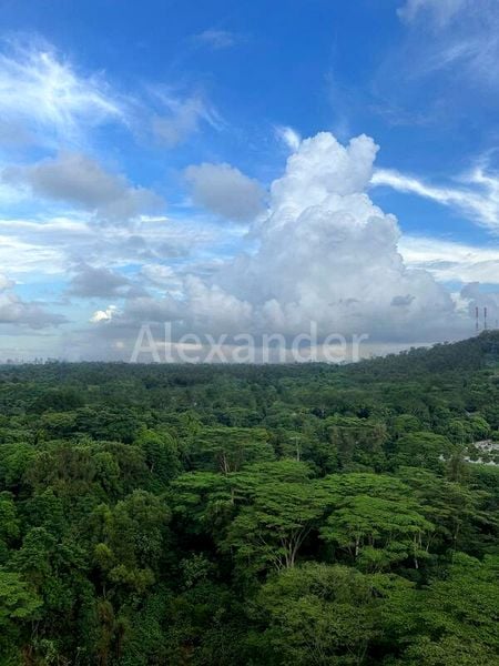 FORESQUE RESIDENCES 3