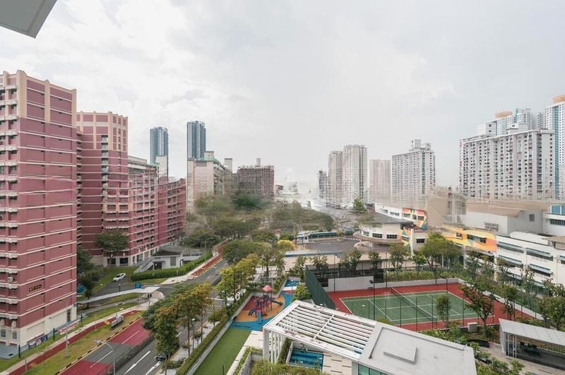TREVISTA 12