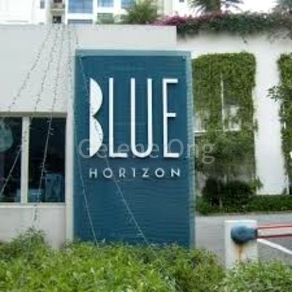 BLUE HORIZON 11