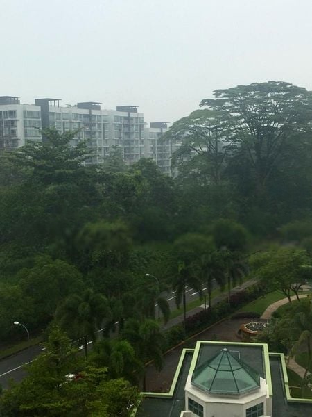 SPRINGDALE CONDOMINIUM 5