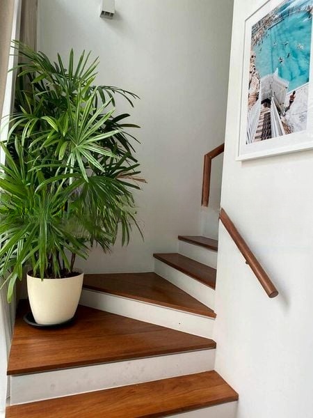 PINE RESIDENCES 8