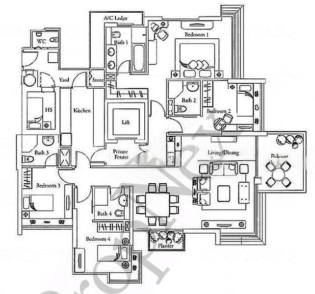 THE SERENADE @ HOLLAND 10