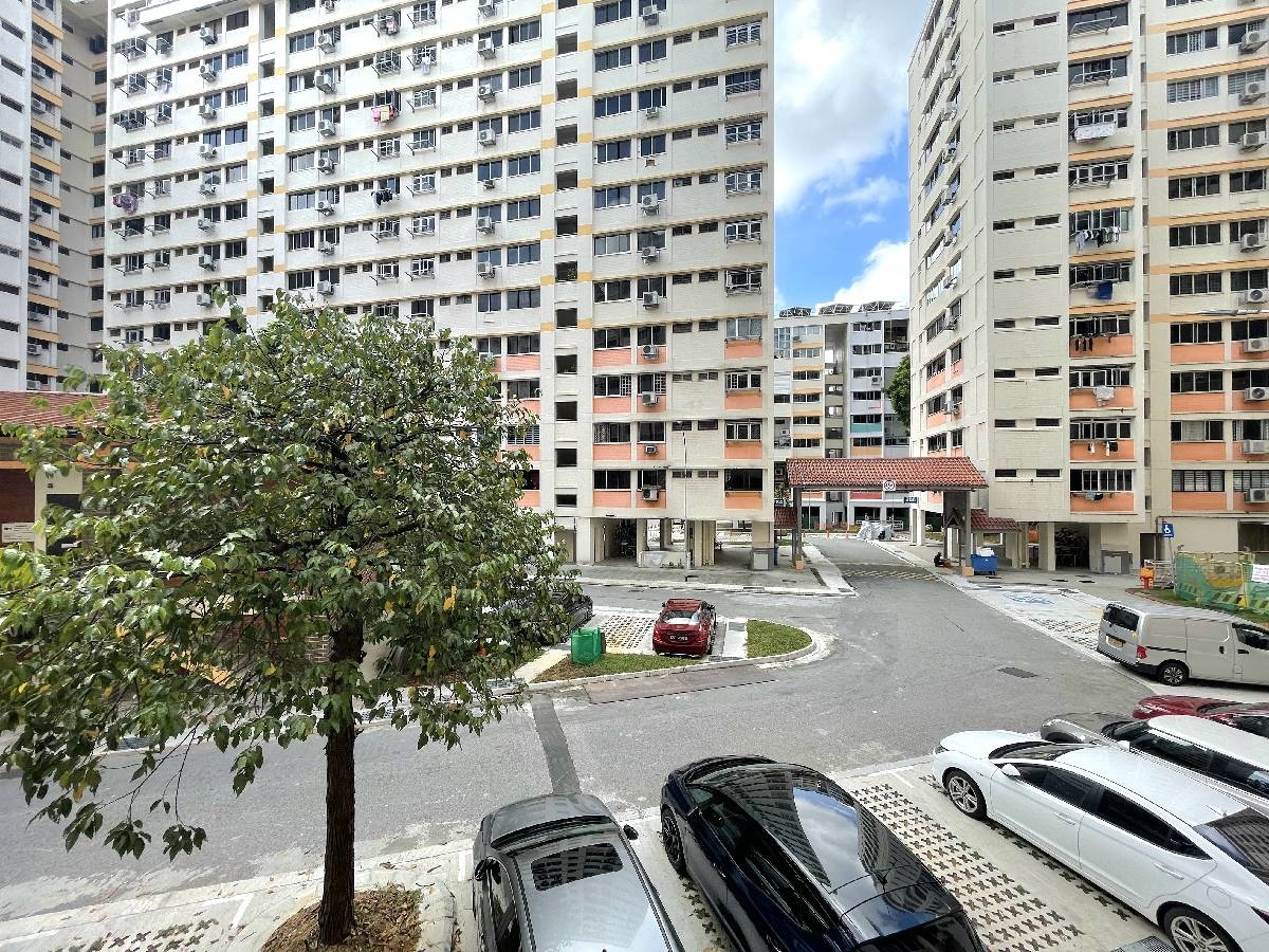 CHOA CHU KANG AVE 3 12