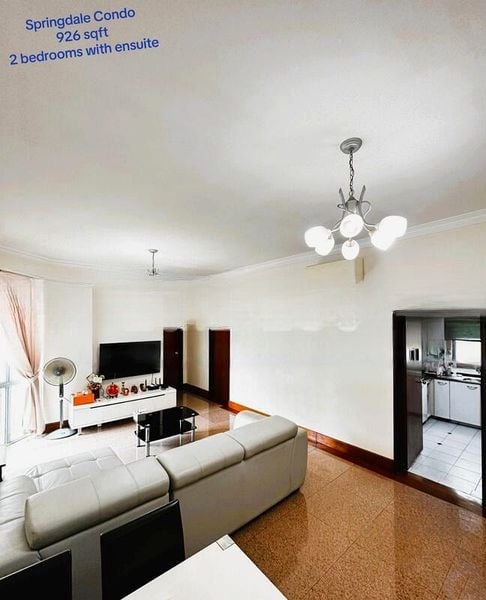 SPRINGDALE CONDOMINIUM 4