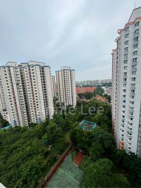FERNVALE RD 7